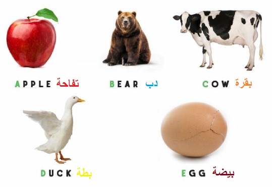 أسماء حيوانات